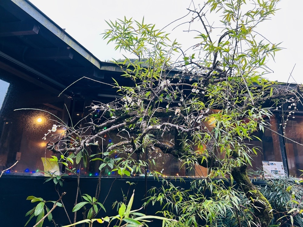 cool_village_20d2さんが投稿した美肌の湯 こしかの温泉に関する口コミの画像