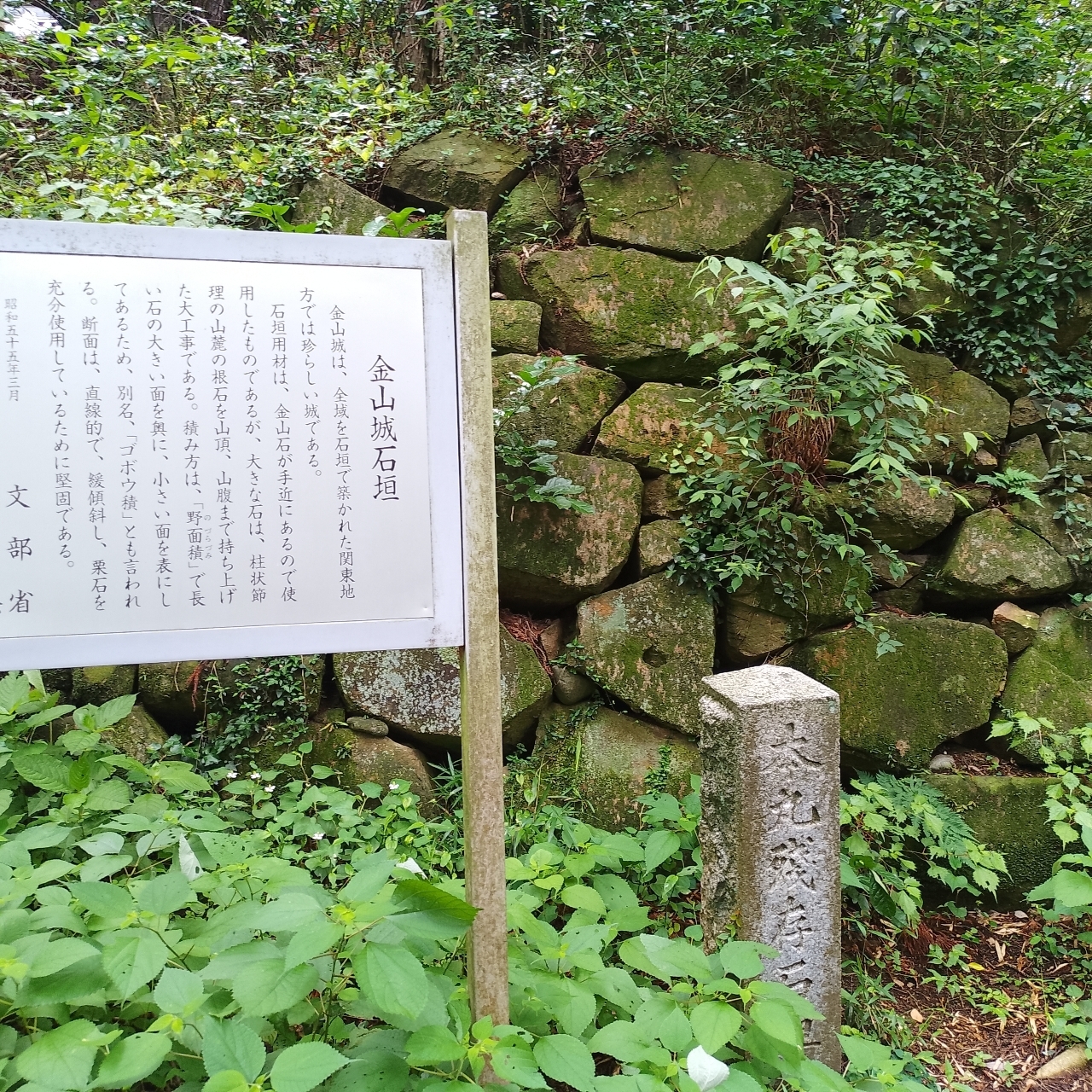 のんびりんこさんが投稿した新田神社に関する口コミの画像