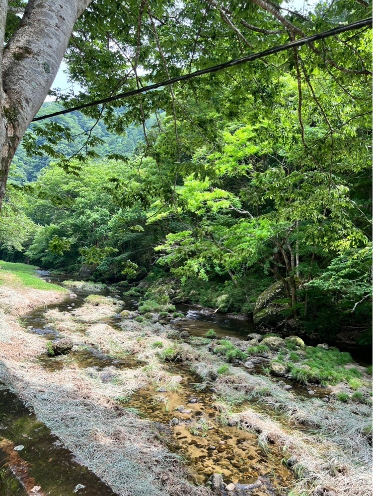 mariさんが投稿した袋田温泉に関する口コミの画像