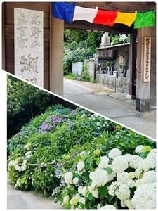 潮明寺