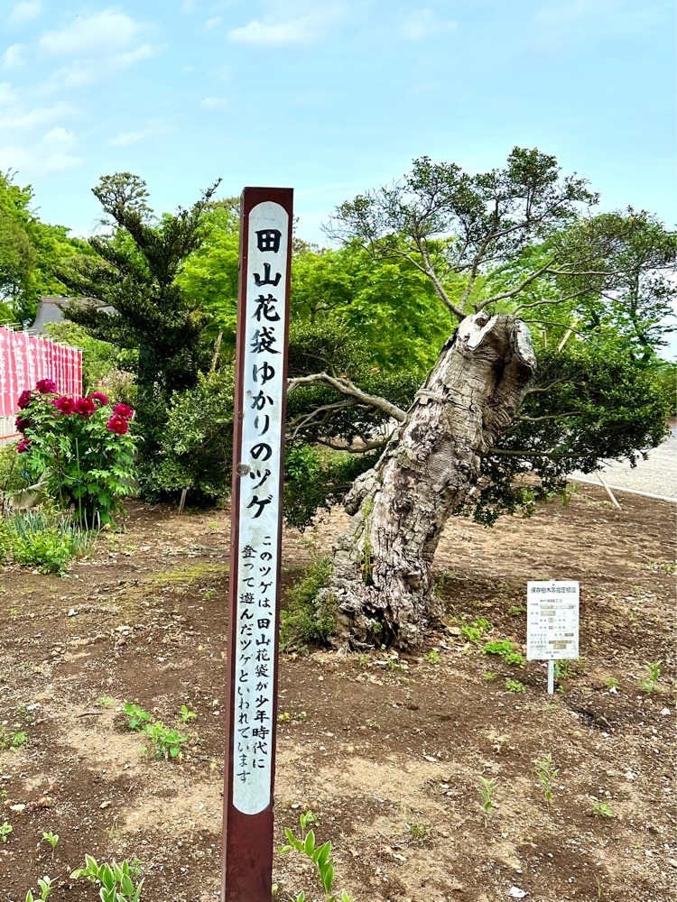 からっ風②さんが投稿した尾曳稲荷神社に関する口コミの画像
