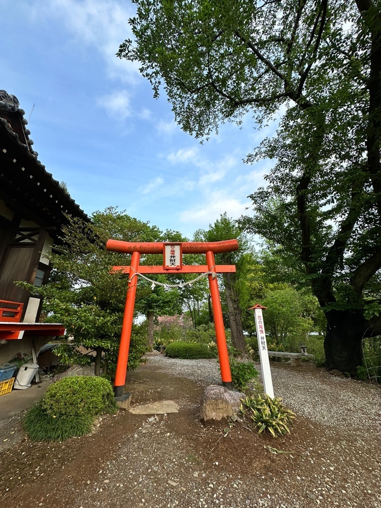 からっ風②さんが投稿した尾曳稲荷神社に関する口コミの画像