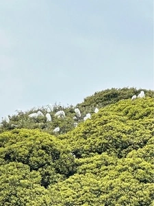 旧秋元別邸（つつじが岡第二公園）
