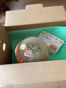 ポケットファームどきどき