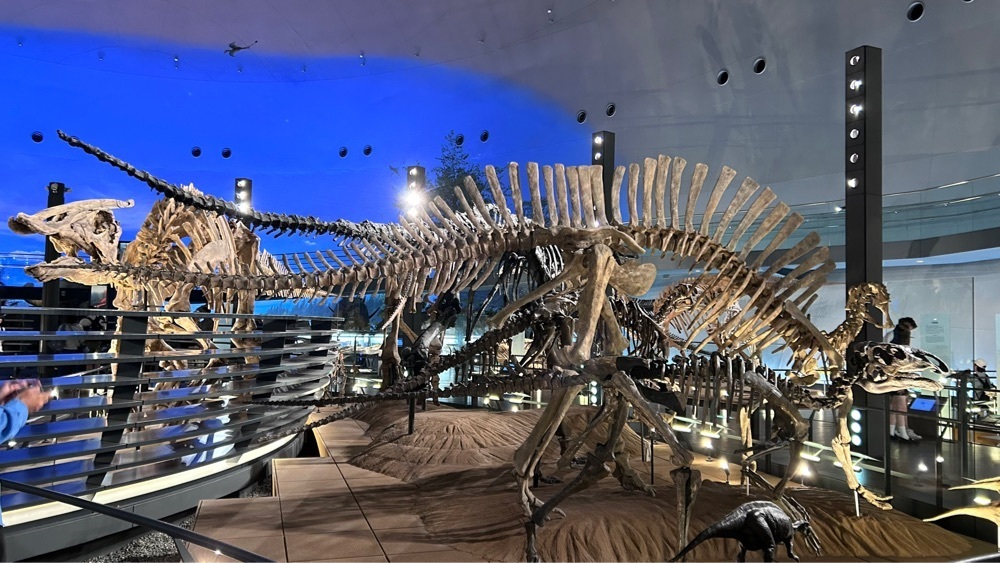 マサぴょんさんが投稿した福井県立恐竜博物館 ミュージアムショップ（FPDM MUSEUM SHOP）に関する口コミの画像