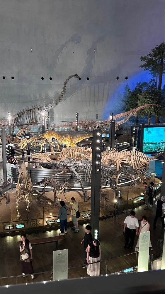 マサぴょんさんが投稿した福井県立恐竜博物館 ミュージアムショップ（FPDM MUSEUM SHOP）に関する口コミの画像