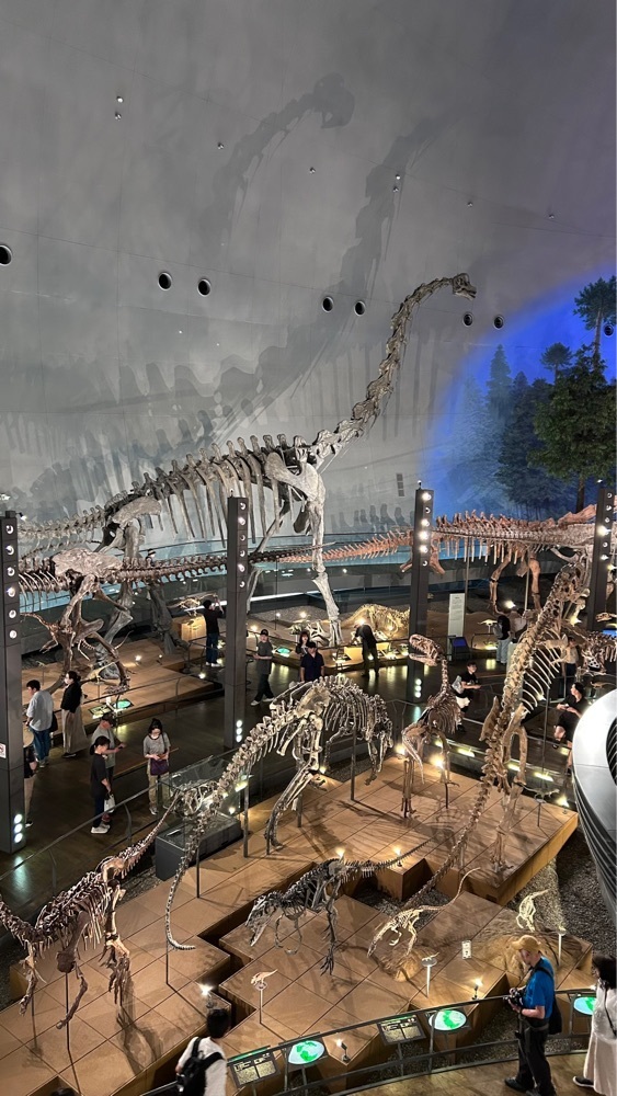 マサぴょんさんが投稿した福井県立恐竜博物館 ミュージアムショップ（FPDM MUSEUM SHOP）に関する口コミの画像