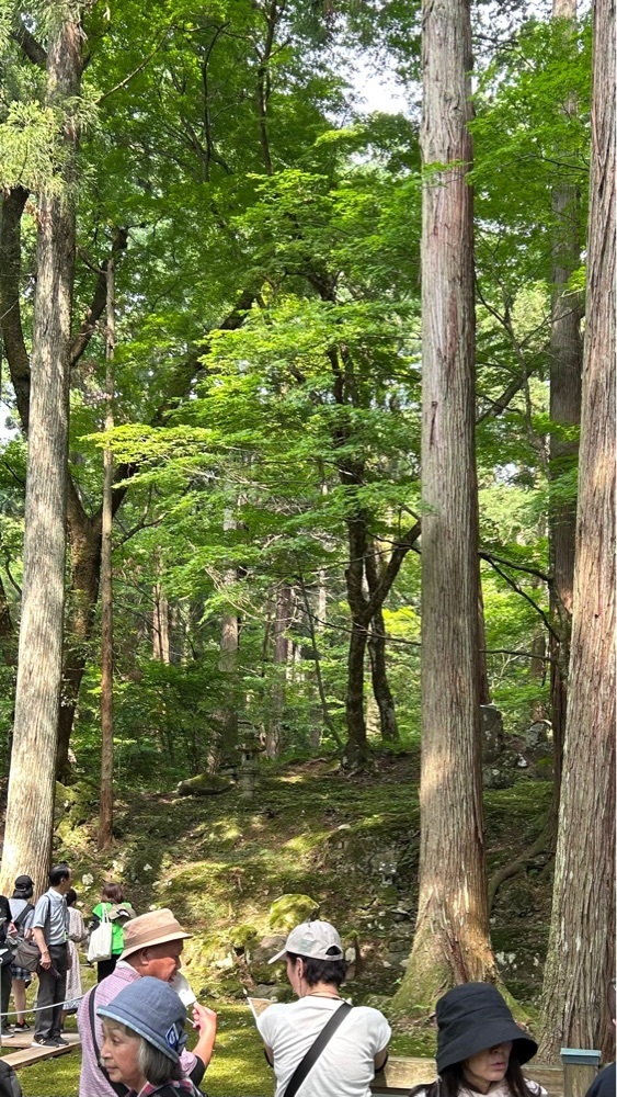マサぴょんさんが投稿した平泉寺白山神社に関する口コミの画像