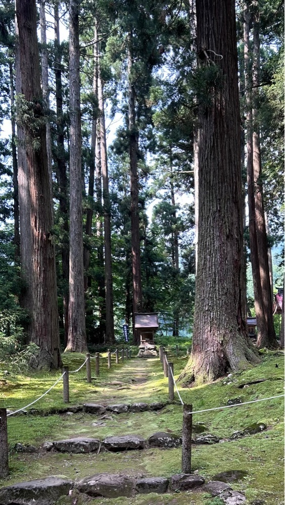 マサぴょんさんが投稿した平泉寺白山神社に関する口コミの画像