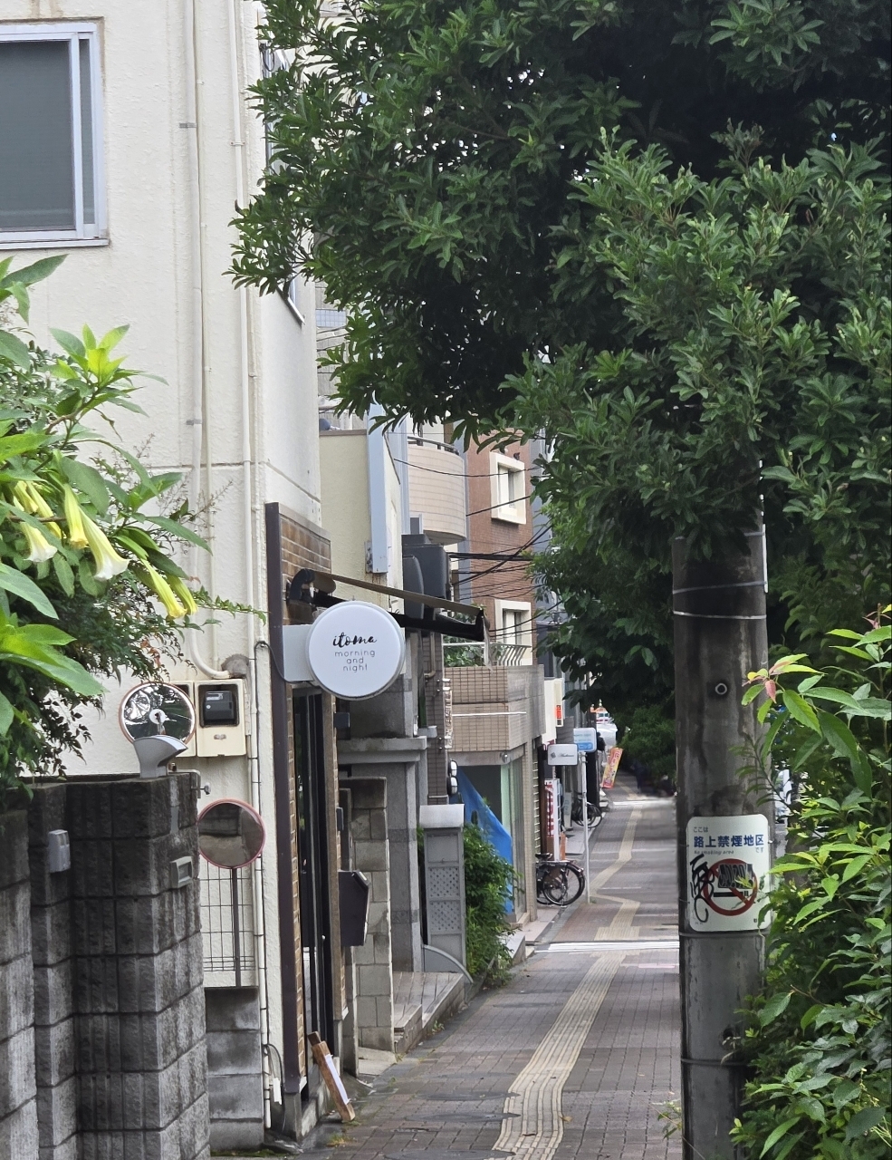 じゅりぽんさんが投稿したイトマ モーニング アンド ナイト（itoma morning and night）に関する口コミの画像