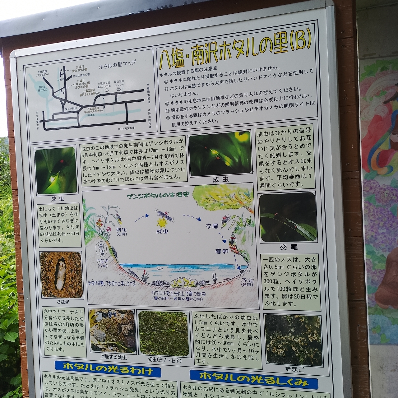 のんびりんこさんが投稿した八塩あじさいの里に関する口コミの画像