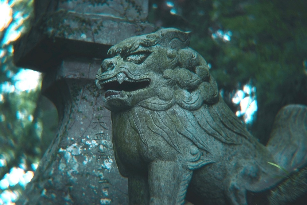 兎きちさんが投稿した本庄八幡宮に関する口コミの画像