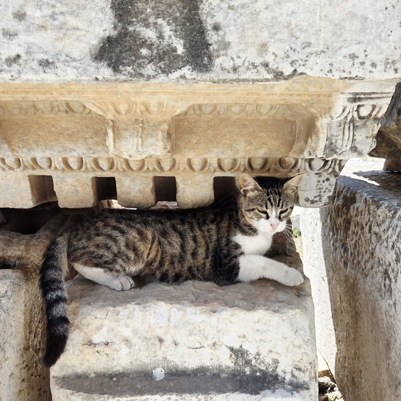 ばらっちゃんさんが投稿したエフェソスの古代都市遺跡に関する口コミの画像