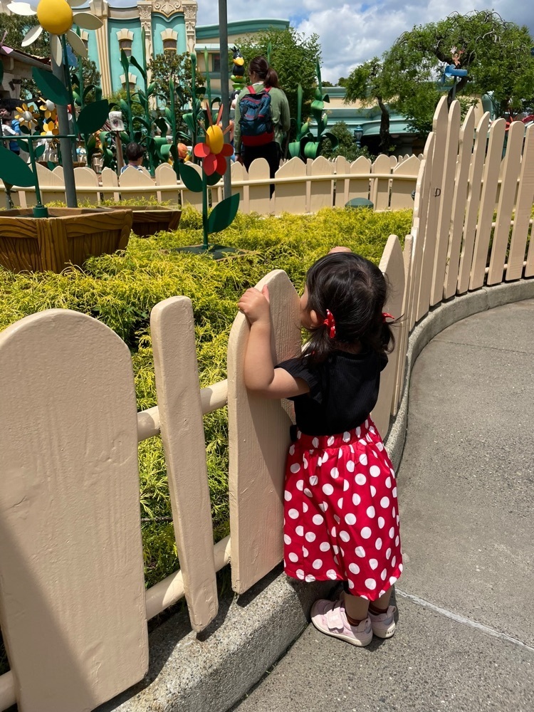 ✿_23yunnさんが投稿した東京ディズニーリゾート(R)に関する口コミの画像