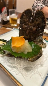 魚将　さかなちゃん