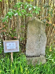 神在神社