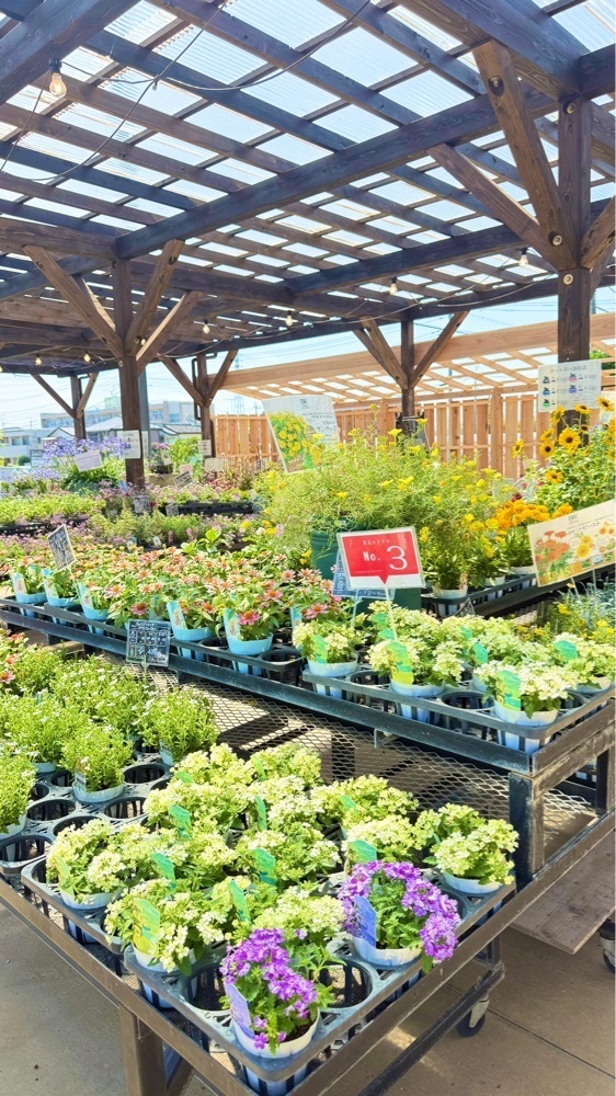 miiさんが投稿したThe Naturalist に関する口コミの画像