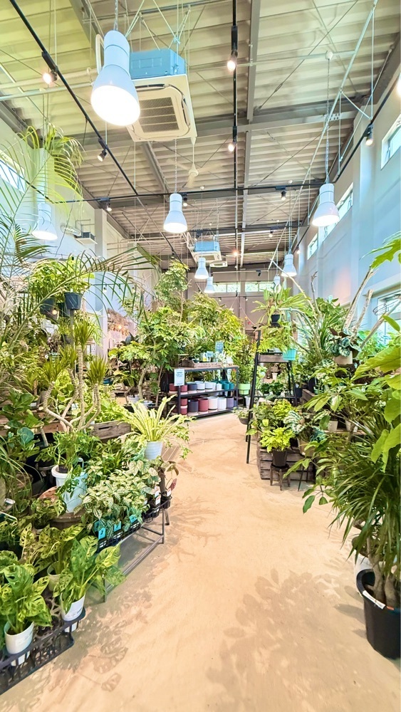 miiさんが投稿したThe Naturalist に関する口コミの画像