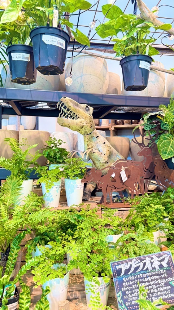 miiさんが投稿したThe Naturalist に関する口コミの画像