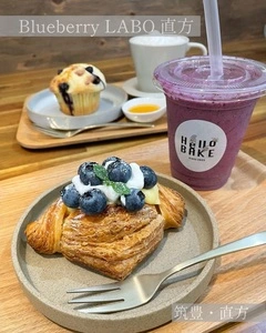 ブルーベリーラボ直方