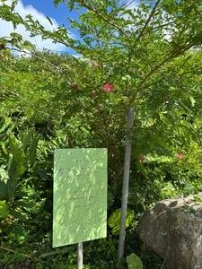 八重岳ベーカリー