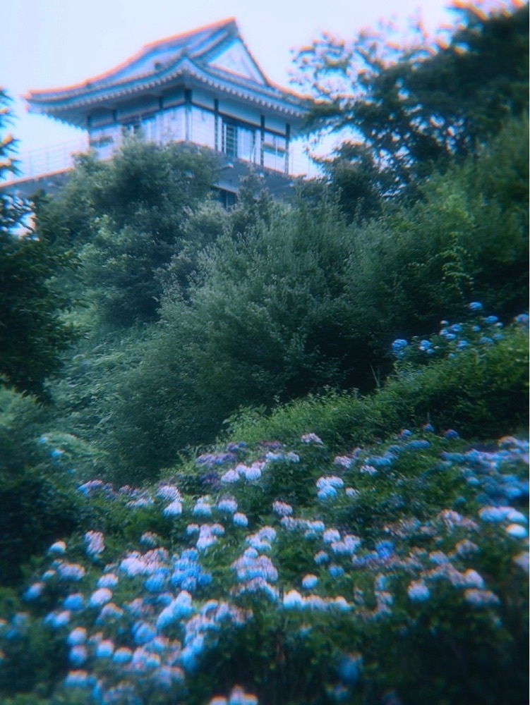 兎きちさんが投稿したあじさい公園に関する口コミの画像