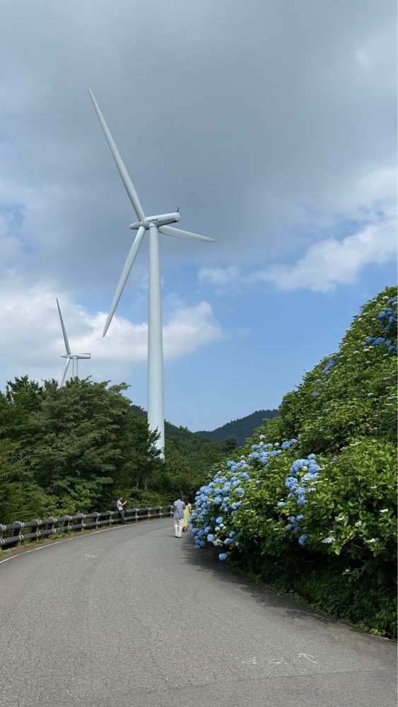 みぃさんが投稿した大川原高原のあじさいに関する口コミの画像