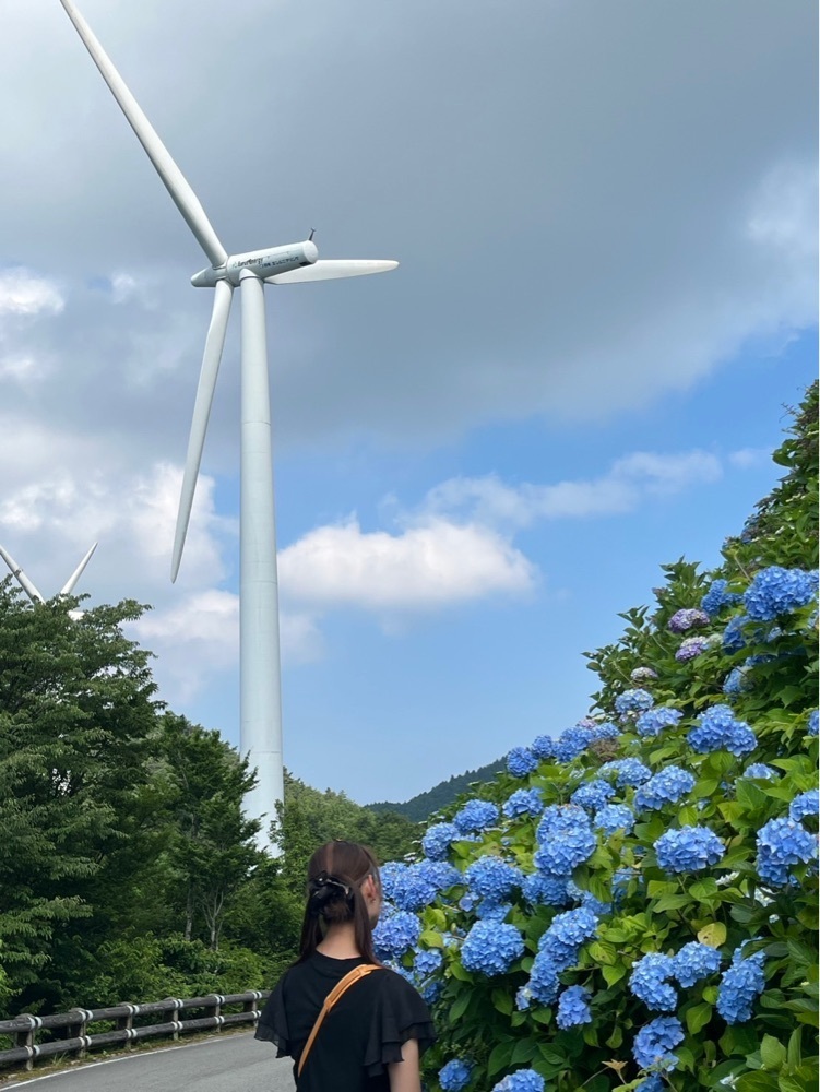 みぃさんが投稿した大川原高原のあじさいに関する口コミの画像