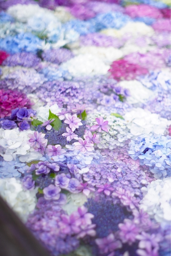 mt0130さんが投稿した山茶花高原ピクニックパークに関する口コミの画像