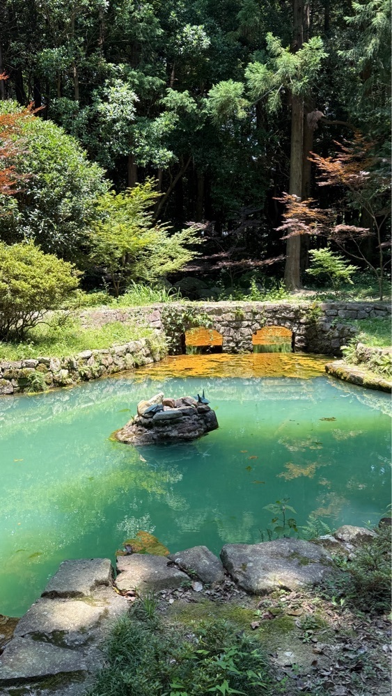 みぃさんが投稿した大麻比古神社に関する口コミの画像