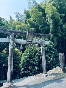 神龍八大龍王神社
