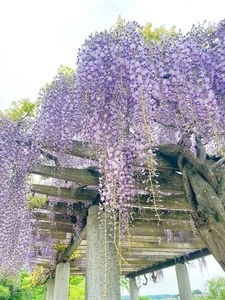 五輪堂山公園