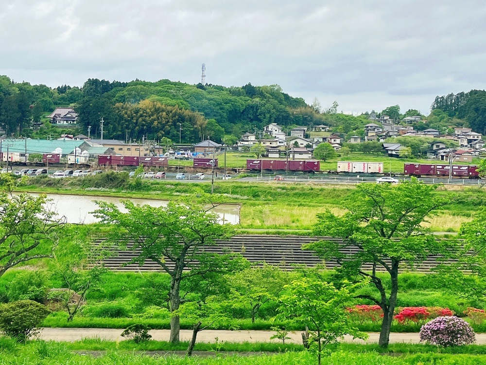 猫なぎ。さんが投稿した五輪堂山公園に関する口コミの画像