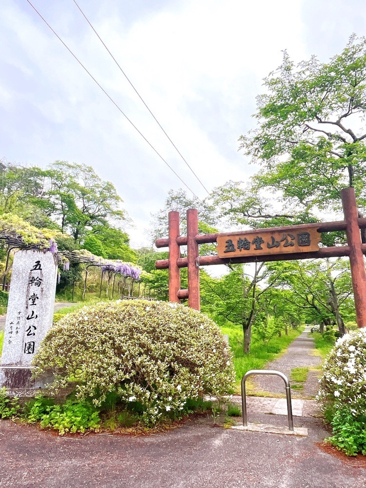 猫なぎ。さんが投稿した五輪堂山公園に関する口コミの画像