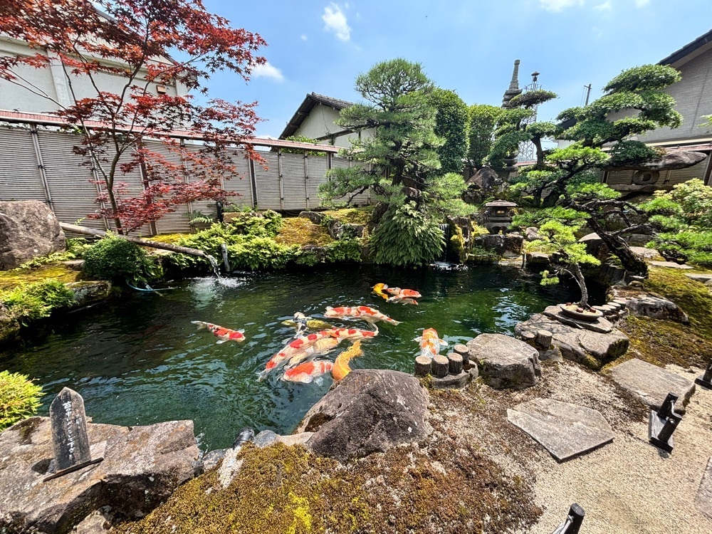 みーなさんが投稿したやま寿司に関する口コミの画像