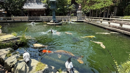 施設画像