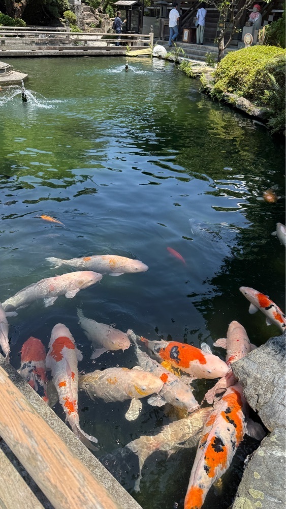 みぃさんが投稿した霊山寺に関する口コミの画像