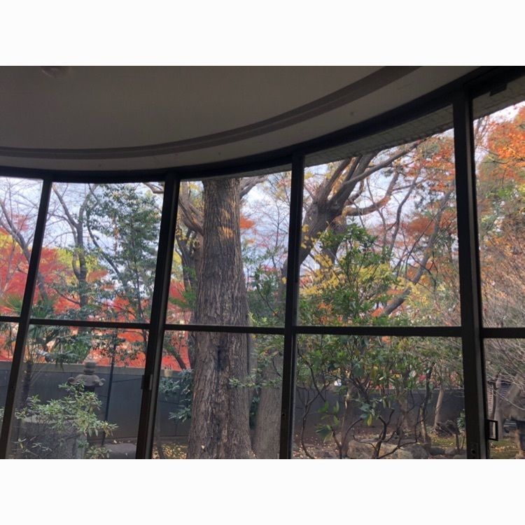 hinappleさんが投稿した原美術館に関する口コミの画像