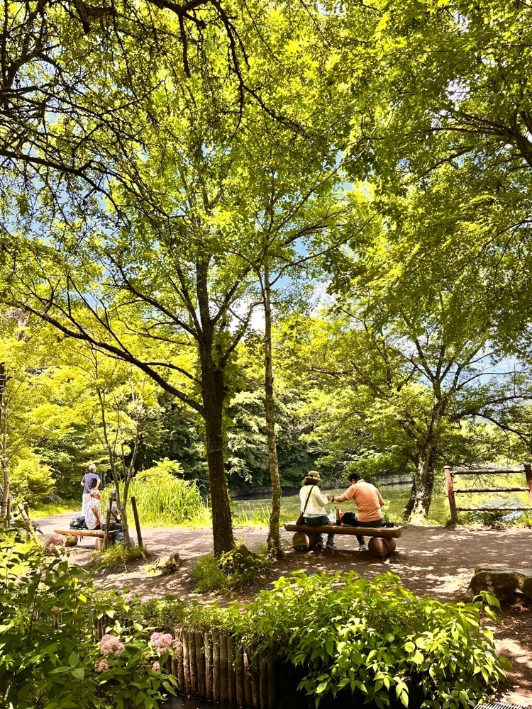 かめ_メグミさんが投稿したCafe St. Maire KUMOBA（カフェ サンメール クモバ）に関する口コミの画像