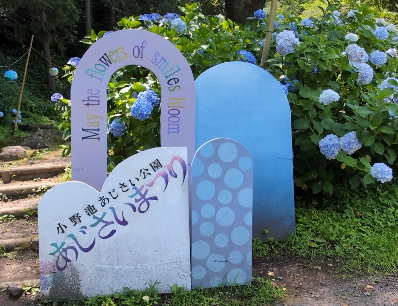 Pさんが投稿した小野池あじさい公園に関する口コミの画像