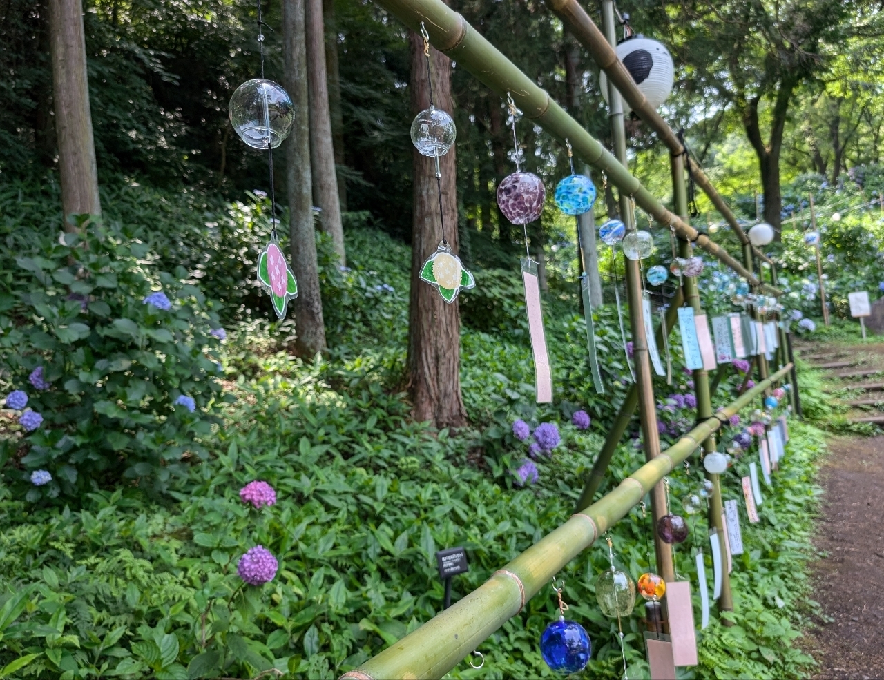 Pさんが投稿した小野池あじさい公園に関する口コミの画像