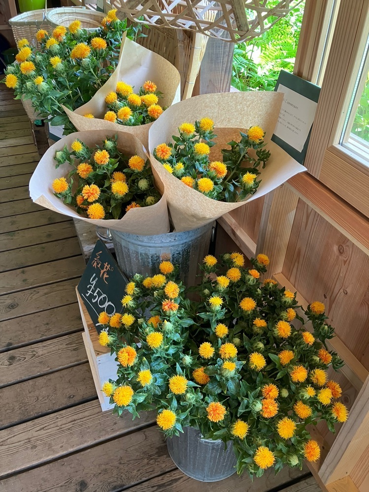 Nさんが投稿したFlowers for Lena（フラワーズ フォー レナ）に関する口コミの画像