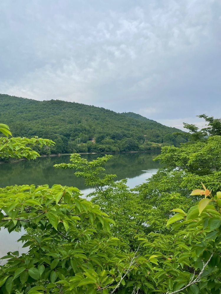 みーなさんが投稿した白竜湖リゾートに関する口コミの画像
