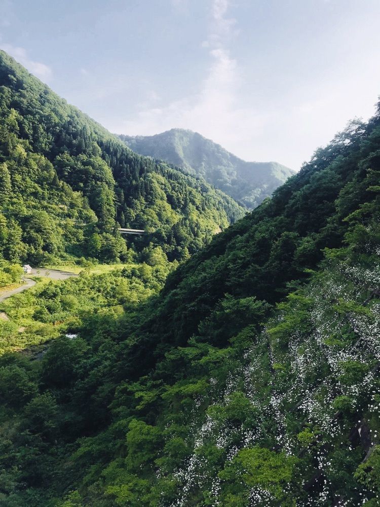 猫なぎ。さんが投稿した金山町に関する口コミの画像