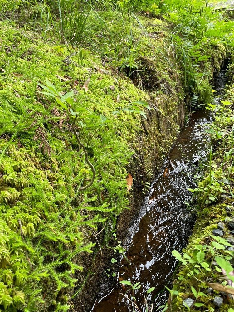 みーなさんが投稿した竹林寺（広島県東広島市）に関する口コミの画像
