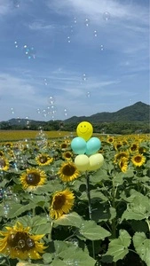中山ひまわり団地