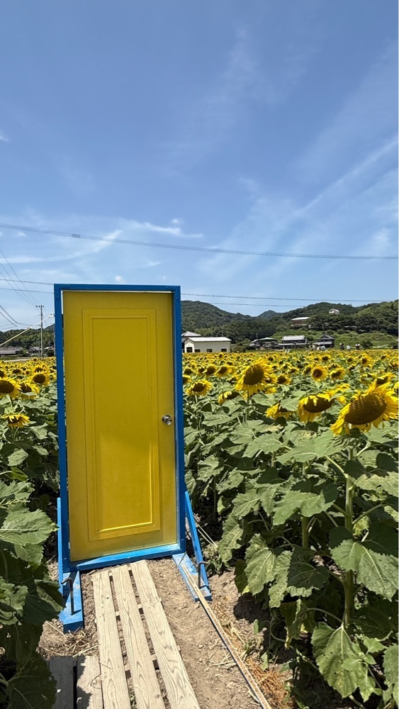 みぃさんが投稿したまんのう町に関する口コミの画像