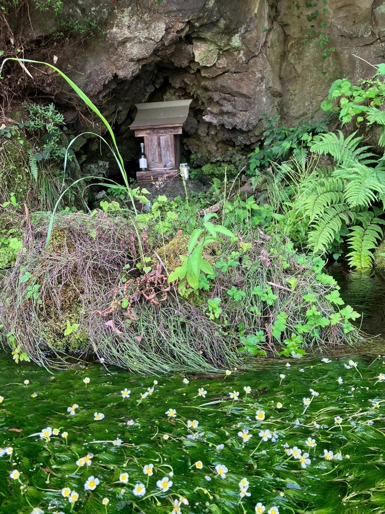 Nさんが投稿した長慶寺に関する口コミの画像