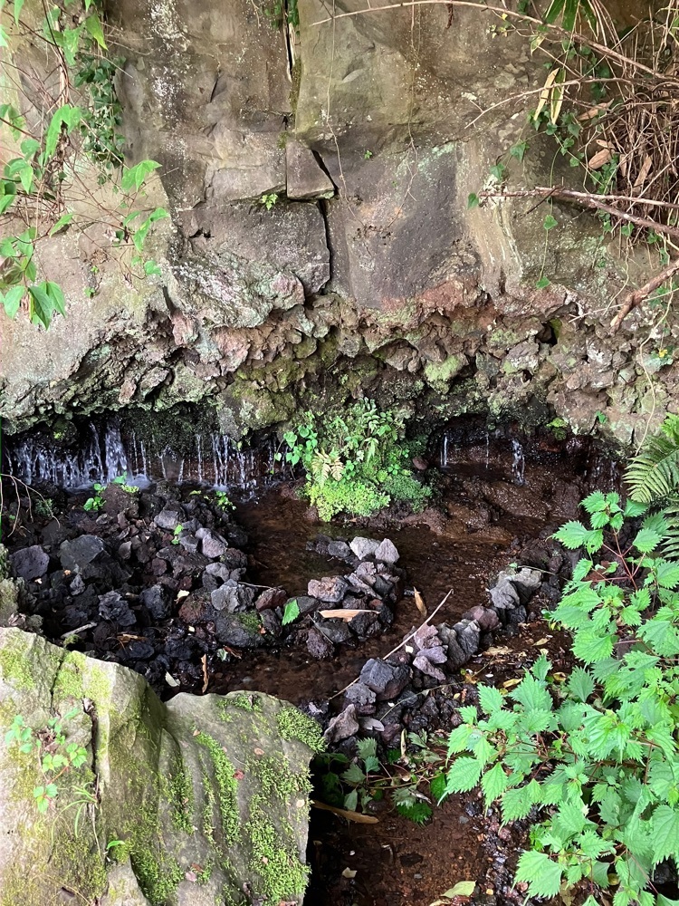Nさんが投稿した長慶寺に関する口コミの画像