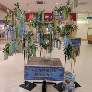 イオン 吉川美南店